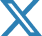 X Icon